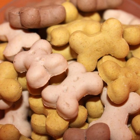 Bone-shaped biscuits