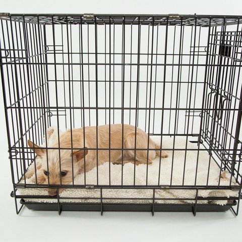 Folding wire crate