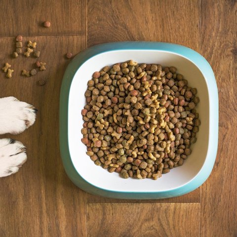 Grain-free chicken dry food