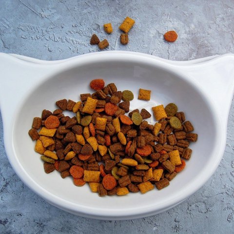 Salmon and rice cat food